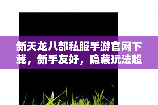 新天龙八部私服手游官网下载图片