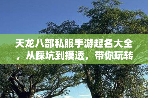 天龙八部私服手游起名大全图片