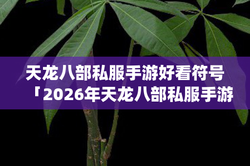 2026年天龙八部私服手游好看符号热度榜图片