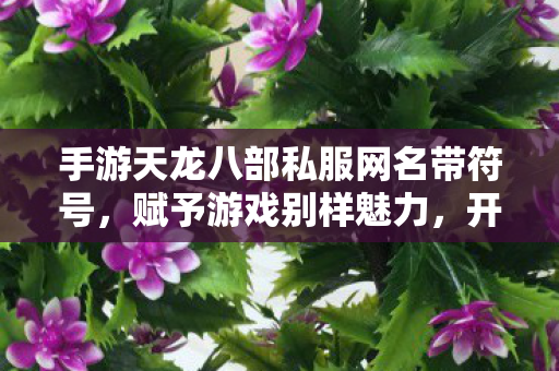 手游天龙八部私服网名带符号图片
