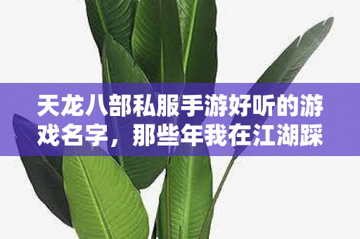 那些年我在江湖踩过的坑与摸出的野路子天龙八部私服图片