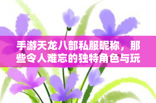 那些令人难忘的独特角色与玩法体验天龙八部私服图片