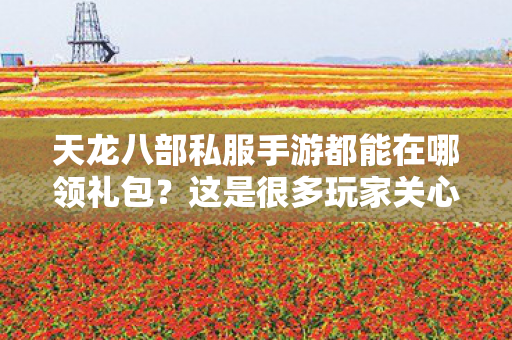 我玩天龙八部私服手游也有好些年头了图片