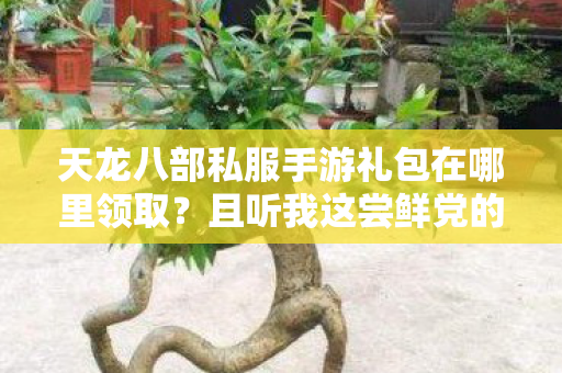 天龙八部私服手游礼包在哪里领取图片