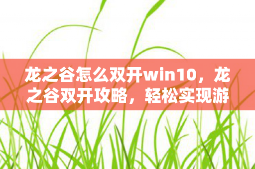 龙之谷怎么双开win10，龙之谷双开攻略，轻松实现游戏多开的技巧与注意事项