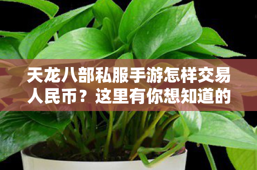 天龙八部私服手游怎样交易人民币图片