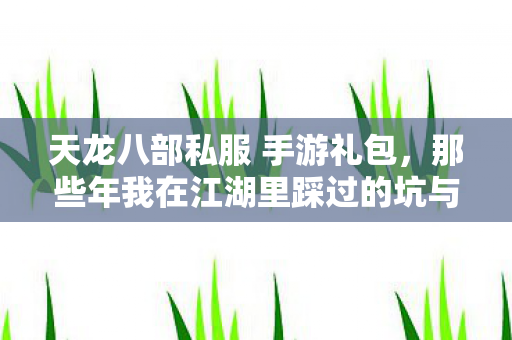 那些年我在江湖里踩过的坑与摸出的招天龙八部私服图片