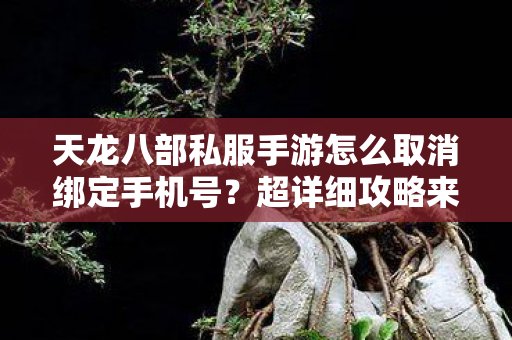 天龙八部私服手游怎么取消绑定手机号图片