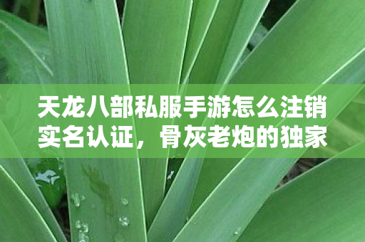 天龙八部私服手游怎么注销实名认证,骨灰老炮的独家揭秘与回忆杀天龙私服 天龙八部私服手游怎么注销实名认证,骨灰老炮的独家揭秘与回忆杀天龙私服