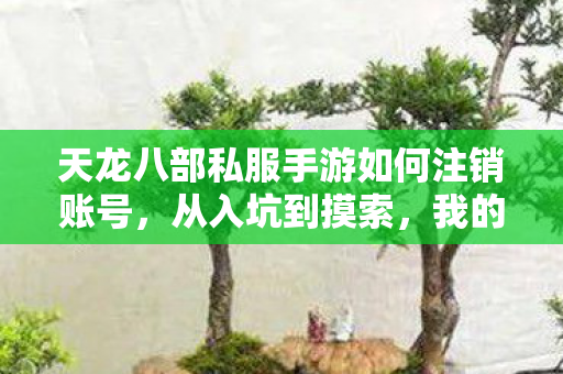 天龙八部私服手游如何注销账号图片
