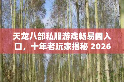 天龙八部私服游戏畅易阁入口,十年老玩家揭秘 2026 年私服圈最新门道天龙私服 天龙八部私服游戏畅易阁入口,十年老玩家揭秘 2026 年私服圈最新门道天龙私服