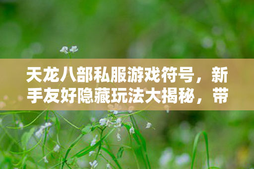 带你畅玩别样江湖天龙私服图片