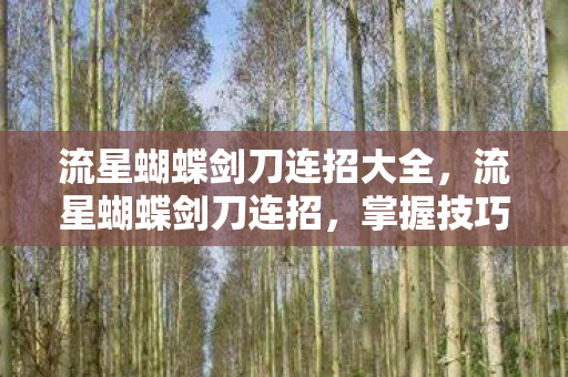 流星蝴蝶剑刀连招大全，流星蝴蝶剑刀连招，掌握技巧，提升战斗效率