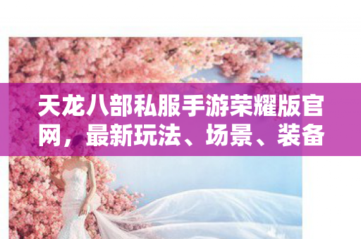 天龙八部私服手游荣耀版官网图片