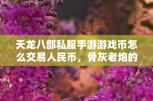 天龙八部私服手游游戏币怎么交易人民币,骨灰老炮的独家交易秘籍大公开天龙私服 天龙八部私服手游游戏币怎么交易人民币,骨灰老炮的独家交易秘籍大公开天龙私服