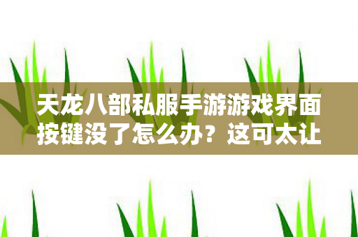 天龙八部私服手游游戏界面按键没了怎么办图片