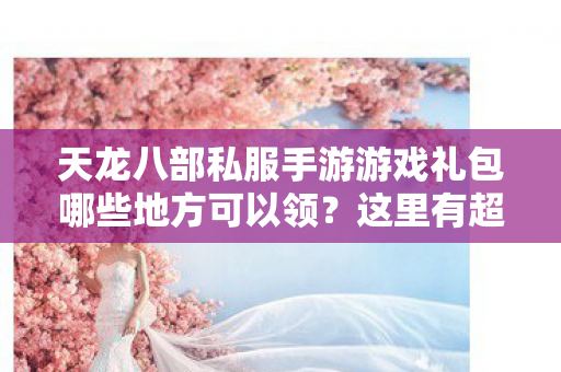 天龙八部私服手游游戏礼包哪些地方可以领图片