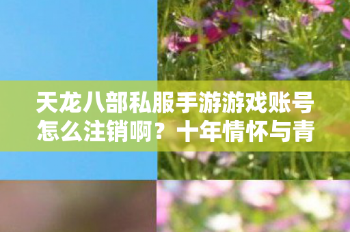 天龙八部私服手游游戏账号怎么注销啊图片