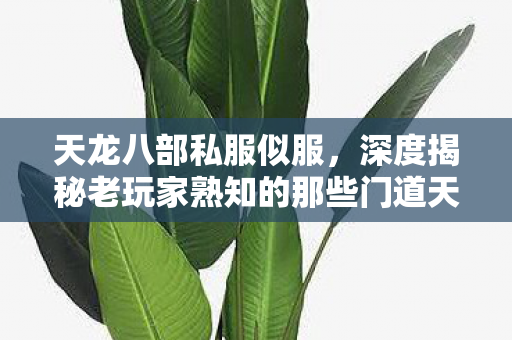 深度揭秘老玩家熟知的那些门道天龙八部私服图片
