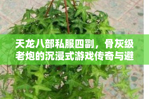 骨灰级老炮的沉浸式游戏传奇与避坑指南天龙八部私服图片