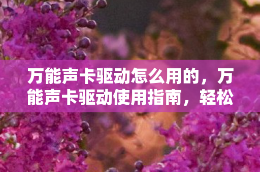 万能声卡驱动怎么用的,万能声卡驱动使用指南,轻松提升音质体验 万能声卡驱动怎么用的,万能声卡驱动使用指南,轻松提升音质体验