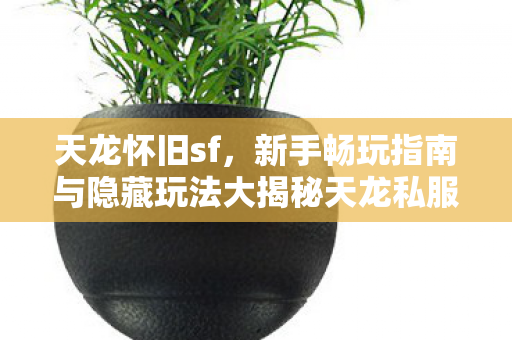新手畅玩指南与隐藏玩法大揭秘天龙私服图片