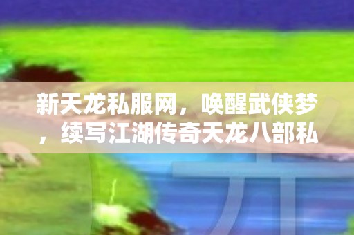 续写江湖传奇天龙八部私服图片