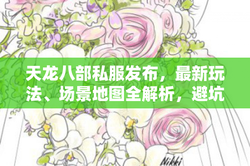 避坑指南与疑问解答天龙私服图片