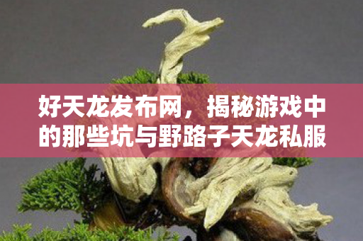揭秘游戏中的那些坑与野路子天龙私服图片