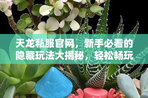 轻松畅玩天龙八部私服天龙私服图片