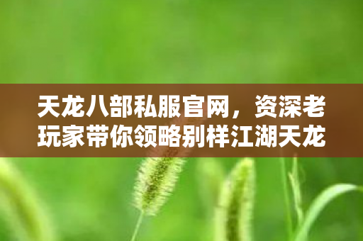 资深老玩家带你领略别样江湖天龙私服图片