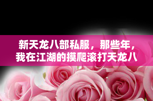 我在江湖的摸爬滚打天龙八部私服图片