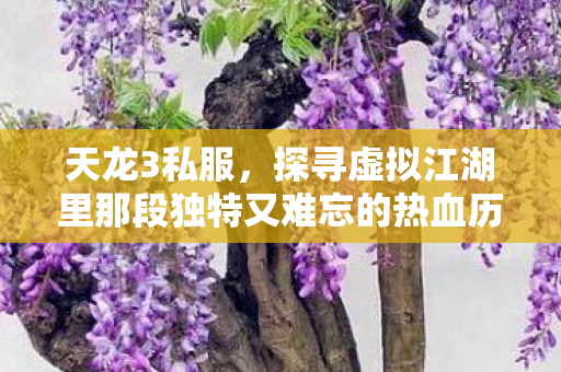 探寻虚拟江湖里那段独特又难忘的热血历程天龙私服图片