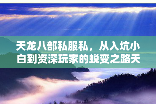 从入坑小白到资深玩家的蜕变之路天龙八部私服图片