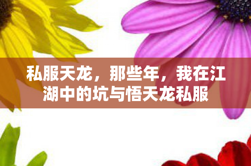 我在江湖中的坑与悟天龙私服图片