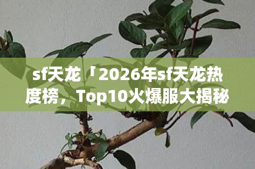 2026年sf天龙热度榜图片