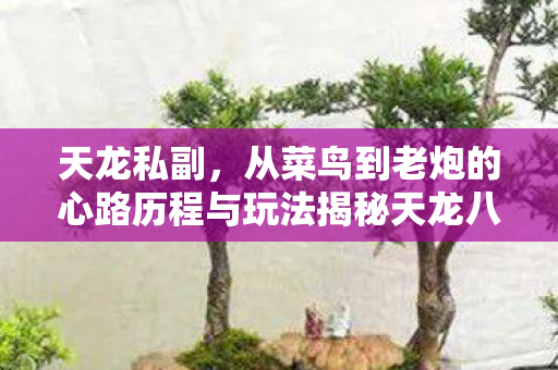 从菜鸟到老炮的心路历程与玩法揭秘天龙八部私服图片