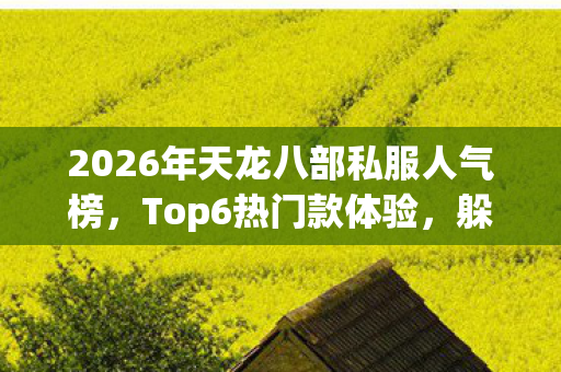 2026年天龙八部私服人气榜图片