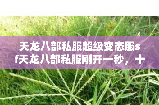 天龙八部私服超级变态服sf天龙八部私服刚开一秒图片