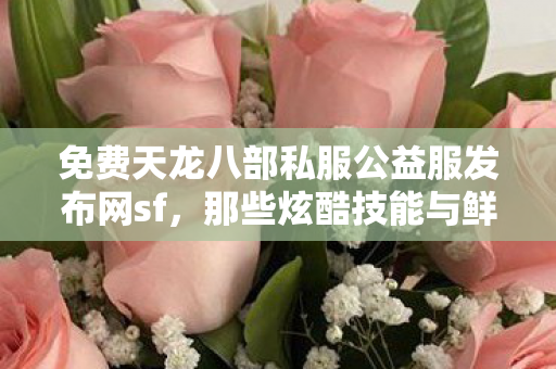 那些炫酷技能与鲜活阵营背后的坑与乐天龙八部私服图片