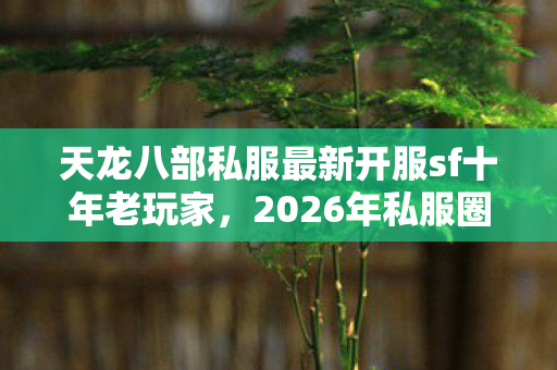 2026年私服圈痛点全解析与破局之道天龙私服图片