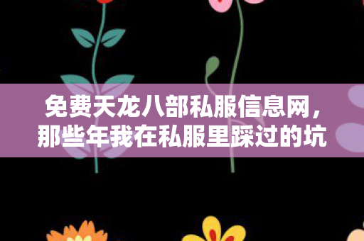 那些年我在私服里踩过的坑与摸出的野路子天龙私服图片
