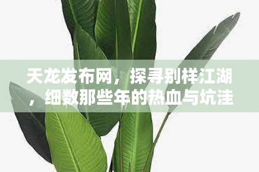 细数那些年的热血与坑洼天龙私服图片
