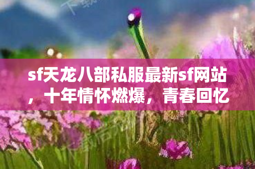 sf天龙八部私服最新sf网站图片