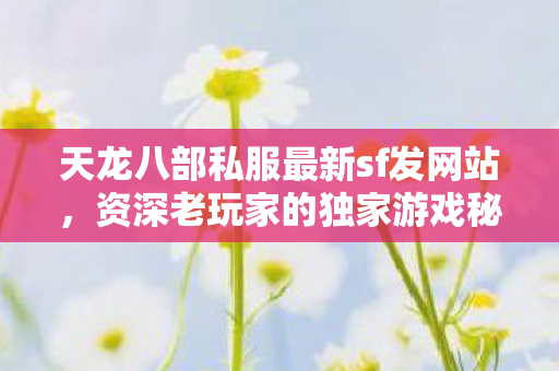 资深老玩家的独家游戏秘籍与热血历程天龙私服图片