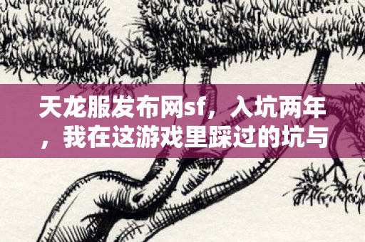 我在这游戏里踩过的坑与摸出的野路子天龙八部私服图片