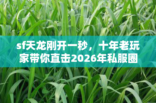 十年老玩家带你直击2026年私服圈最新动态天龙私服图片