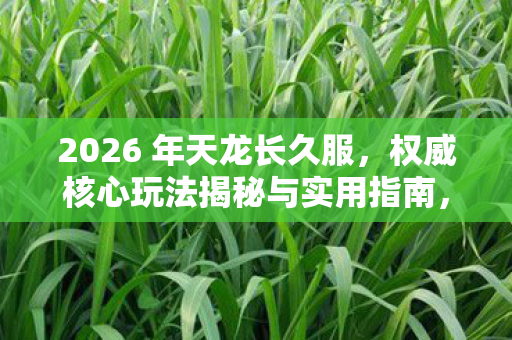 权威核心玩法揭秘与实用指南图片