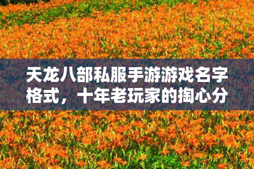 十年老玩家的掏心分享与避坑指南天龙私服图片