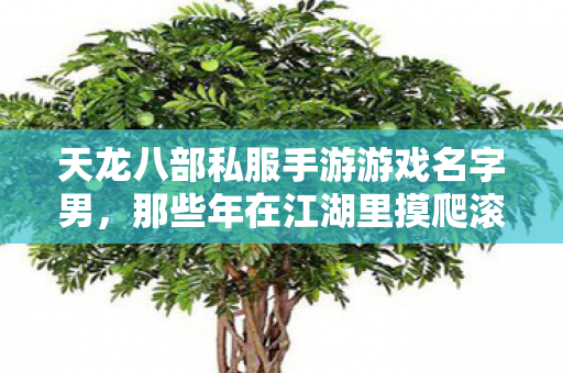 那些年在江湖里摸爬滚打的日子天龙私服图片
